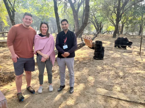 Golden Triangle Tour with Tiger Safari 05-Days