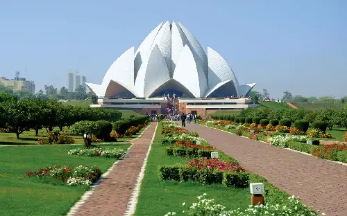 pexels-apostrophy-studio-1098460 (1)